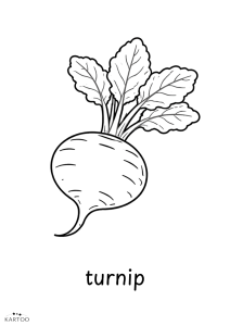 58.png