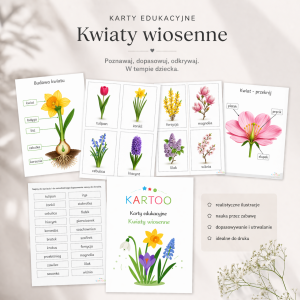Karty edukacyjne_ Kwiaty wiosenne.png