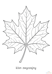 15.png