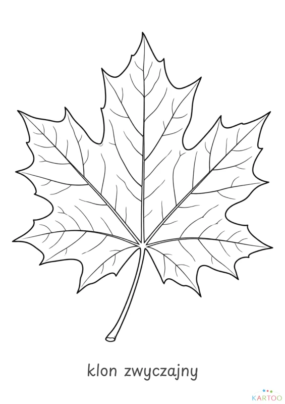 15.png