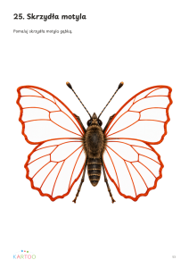 09_motyl_plansza.png