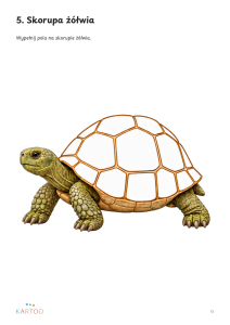 07_zolw_plansza.png