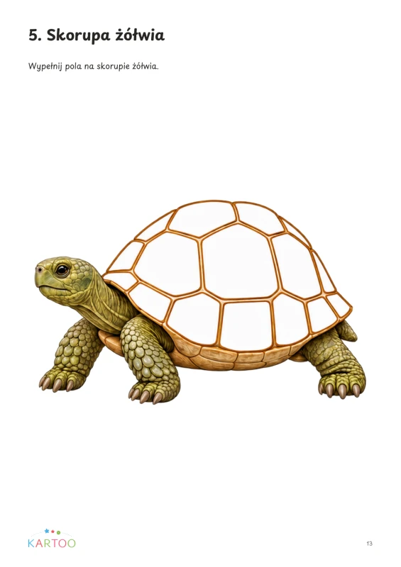 07_zolw_plansza.png