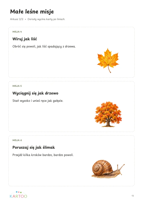 KARTOO_13_misje.png